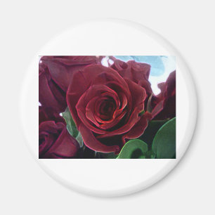 IMÃ BUQUÊ DOS ROSAS