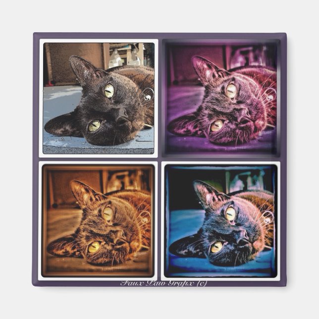 Imã Burmese Cubed (Frente)