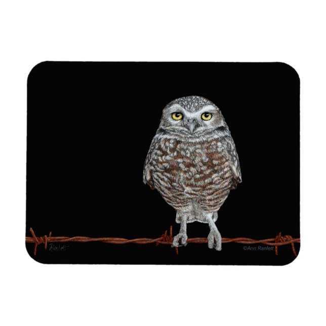 Ímã Burrowing Owl (Horizontal)