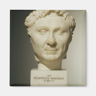 Imã Busto de Pompey (106-48 BC) c.60 BC (mármore)