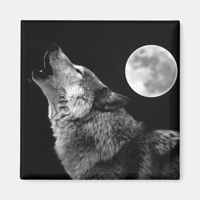 Imã BW Wolf Howling na Lua (Frente)
