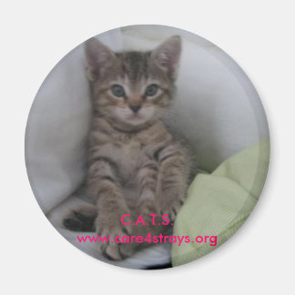 Imã C.A.T.S. Magnet: