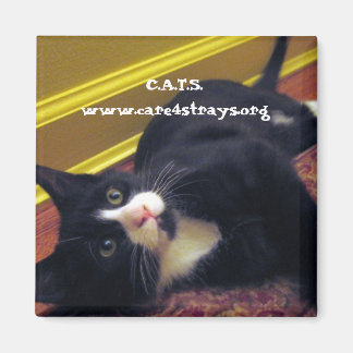 Imã C.A.T.S. Magnet: