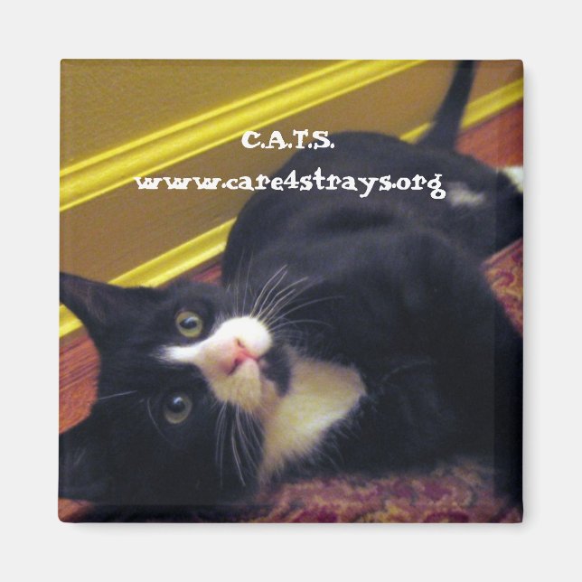 Imã C.A.T.S. Magnet: (Frente)