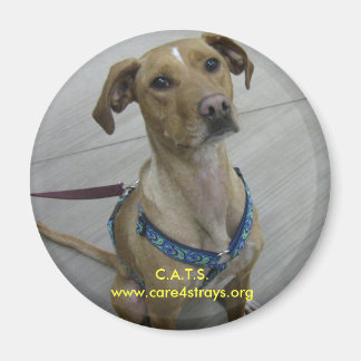 Imã C.A.T.S. Magnet