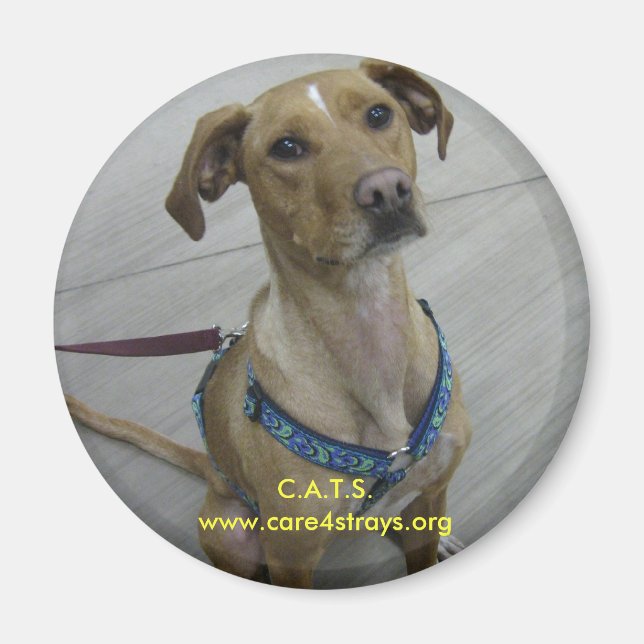 Imã C.A.T.S. Magnet (Frente)