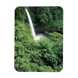 Ímã CA, Costa Rica. Cachoeira La Paz e impatientes