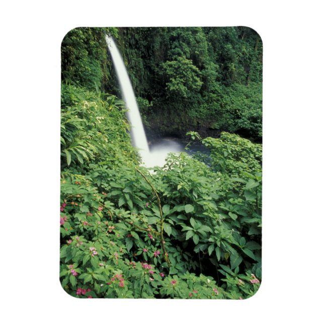 Ímã CA, Costa Rica. Cachoeira La Paz e impatientes (Vertical)