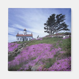 Imã CA, Crescent City, farol de Battery Point com