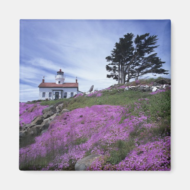 Imã CA, Crescent City, farol de Battery Point com (Frente)