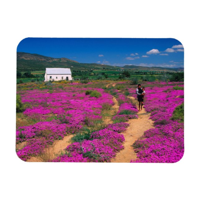 Ímã Cabana, Flores E Menina, Perto De Kamieskroon (Horizontal)