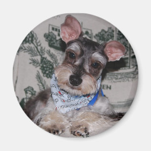 Imã Cabeça coalhada