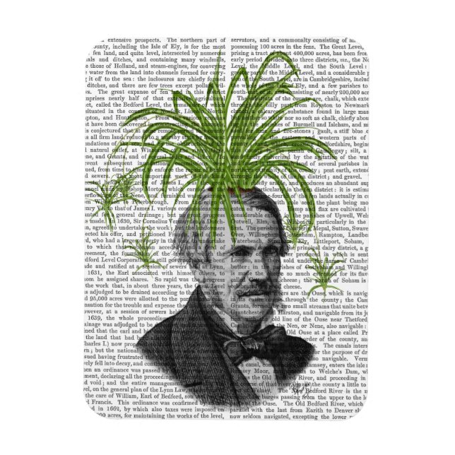 Ímã Cabeça de aranha (Vertical)