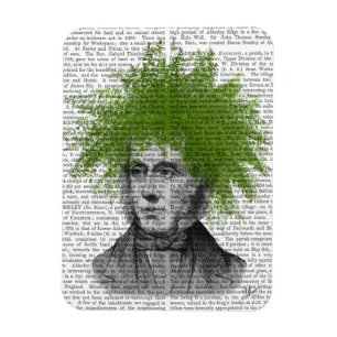 Ímã Cabeça de Asparagus Fern