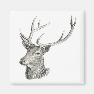 Imã Cabeça de Deer Buck com Desenhos de Antlers