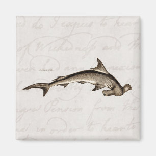 Imã Cabeça de martelo velha do tubarão de Hammerhead