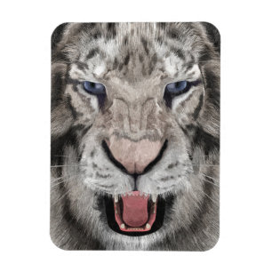 Ímã Cabeça de Tigre Branco Estética da Vida Selvagem
