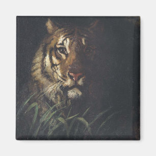 Imã Cabeça de Tigre (por Abott Handerson Thayer)