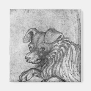 Imã Cabeça de um cão, o do álbum de Vallardi