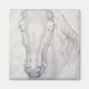 Imã Cabeça de um cavalo