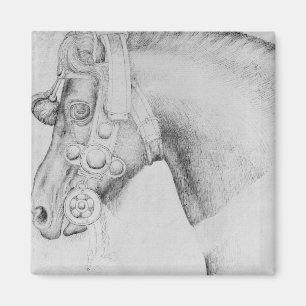 Imã Cabeça de um cavalo, o do álbum de Vallardi