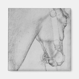 Imã Cabeça de um cavalo, o do álbum de Vallardi