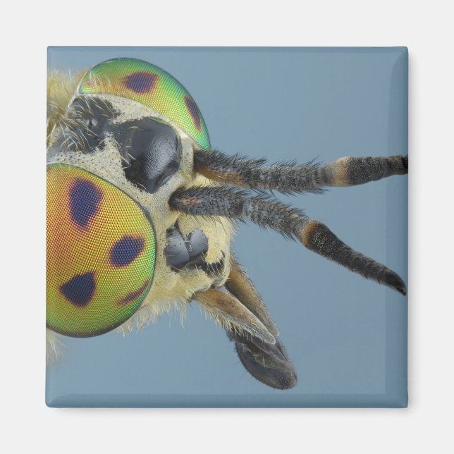 Imã Cabeça de veado (Frente)