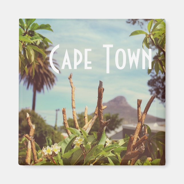 Imã Cabeça do Leão da Montanha Mesa da Cidade do Cabo (Frente)