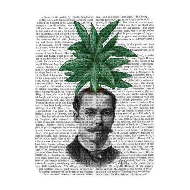 Ímã Cabeça Verde Chinesa (Vertical)