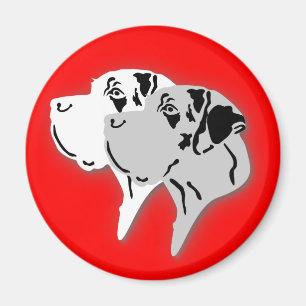 Imã Cabeças de Harlequim e Dane Merle