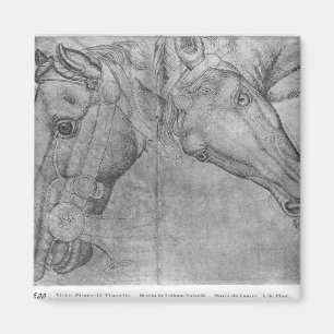 Imã Cabeças dos cavalos, o do álbum de Vallardi