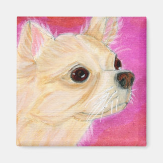 Imã Cabelos longos Chihuahua