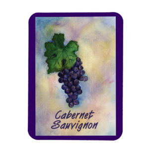 Ímã Cabernet Sauvignon Wine Graphics Painting Art Magn