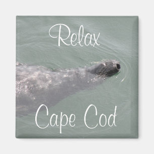 Imã Cabo Cod, Foca Flutuante Relaxante Ímã