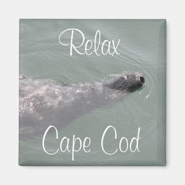 Imã Cabo Cod, Foca Flutuante Relaxante Ímã (Frente)