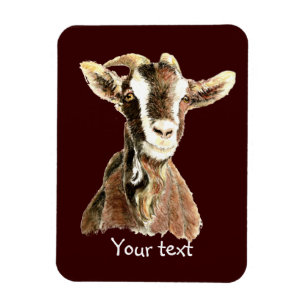 Ímã Cabra velha bonito, humor do animal de fazenda