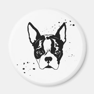 Imã caça grosseira