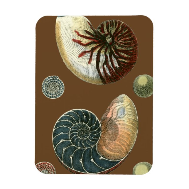 Ímã Cacau (Vertical)