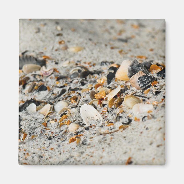 Imã Cache de Shell (Frente)