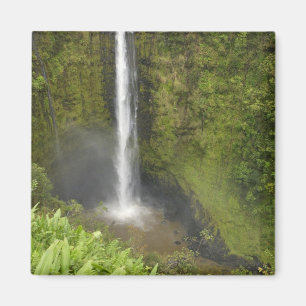 Imã Cachoeira Akaka, Costa de Hamakua, Ilha do Havaí,