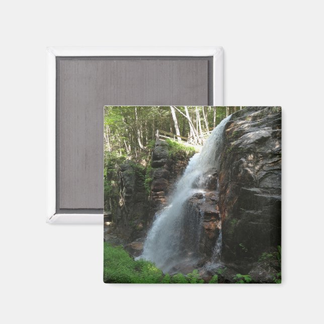 Imã Cachoeira Avalanche (Front/Back)