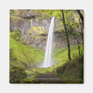 Imã Cachoeira borrada em torno das hortaliças luxúri