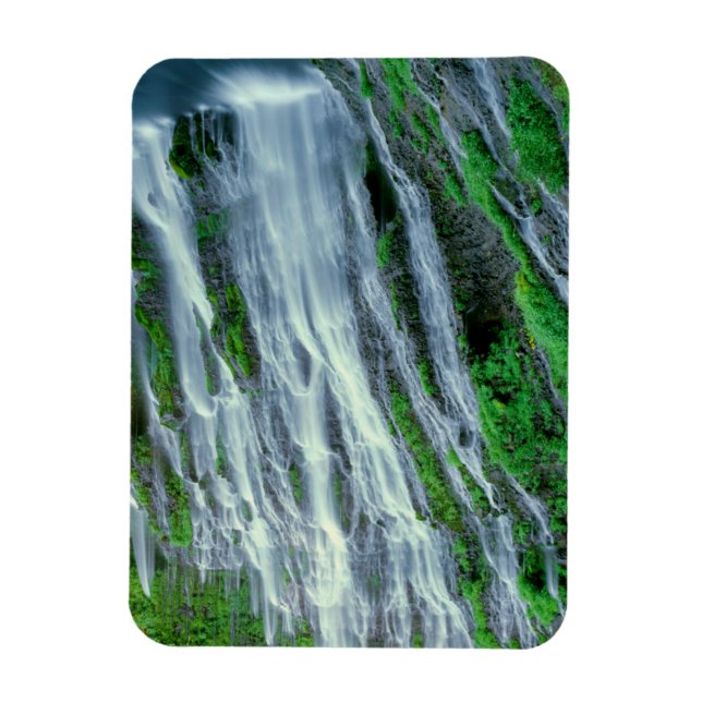 Ímã Cachoeira cênica, Califórnia (Vertical)