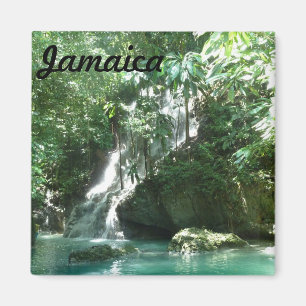 Imã Cachoeira do ímã da foto das quedas de Jamaica