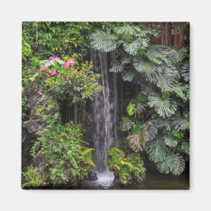 Imã Cachoeira do Jardim Luxuriante, China