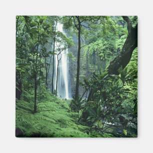 Imã Cachoeira Hanakapiai ao longo da Costa Na Pali, Ka