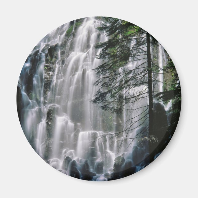 Imã Cachoeira na floresta, Oregon (Frente)