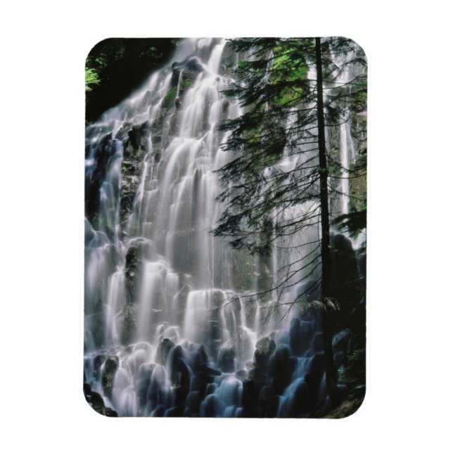 Ímã Cachoeira na floresta, Oregon (Vertical)