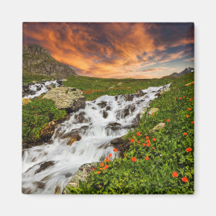 Imã Cachoeira nas montanhas com flores