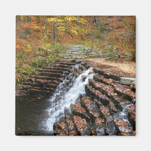 Imã Cachoeira no Laurel Hill State Park II